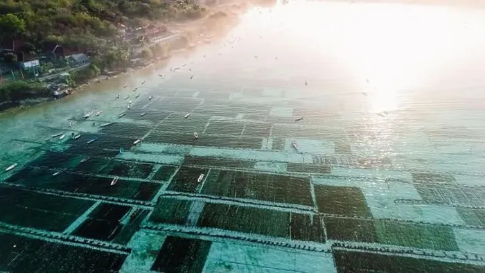 Framed Print : Seaweed farm at Lembongan island in Indonesia with morning light and fog. Aerial view Framed Print : Seaweed farm at Lembongan island in Indonesia with morning light and fog. Aerial view