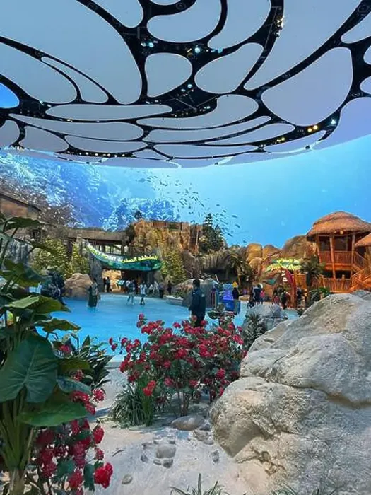 Framed Print : SeaWorld Yas Island, Abu Dhabi, a marine life theme park and animal researching, rescue rehabilitation center Framed Print : SeaWorld Yas Island, Abu Dhabi, a marine life theme park and animal researching, rescue rehabilitation center