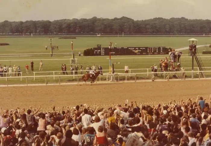 Framed Print : Secretariat, Belmont Stakes, 1973 Framed Print : Secretariat, Belmont Stakes, 1973