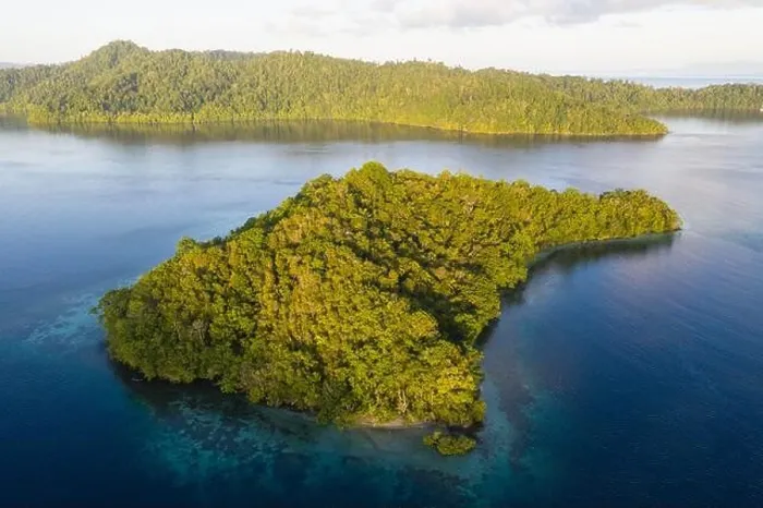 Framed Print : Seen from above, the many tropical islands within Raja Ampat, Indonesia, are surrounded by healthy coral reefs and high marine biodiversity Framed Print : Seen from above, the many tropical islands within Raja Ampat, Indonesia, are surrounded by healthy coral reefs and high marine biodiversity