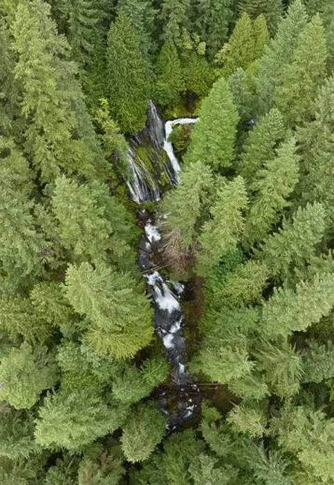 Framed Print : Seen from a bird's eye perspective, the impressive Panther Creek Falls flows through the Gifford Pinchot National Forest in Washington Framed Print : Seen from a bird's eye perspective, the impressive Panther Creek Falls flows through the Gifford Pinchot National Forest in Washington