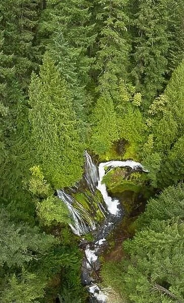 Seen from a bird's eye perspective, the impressive Panther Creek Falls flows through the Gifford Pinchot National Forest in Washington