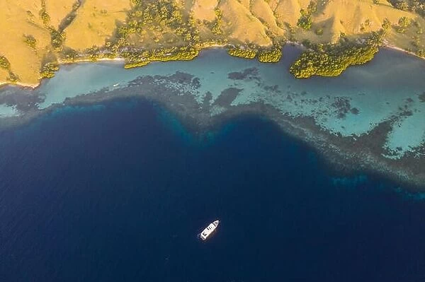 Seen from a bird's eye view, an idyllic island is surrounded by a healthy coral reef in Komodo National Park, Indonesia
