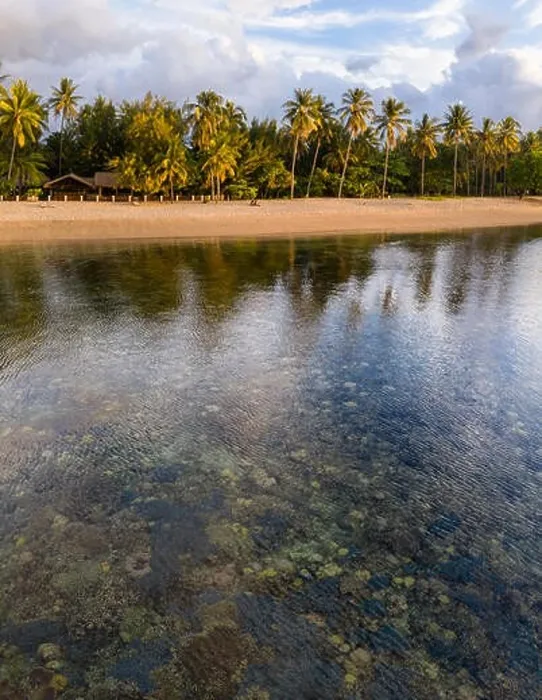 Framed Print : Seen from a bird's eye view, a shallow coral reef grows on the edge of the island of Flores, Indonesia. This area is known for its high biodiversity Framed Print : Seen from a bird's eye view, a shallow coral reef grows on the edge of the island of Flores, Indonesia. This area is known for its high biodiversity