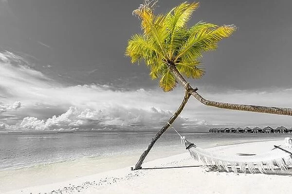 Selective color tropical beach background as summer landscape with beach swing or hammock monochrome beach banner. Perfect beach scene vacation
