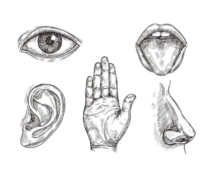 Framed Print : Sense organs. Hand drawn mouth and tongue Framed Print : Sense organs. Hand drawn mouth and tongue