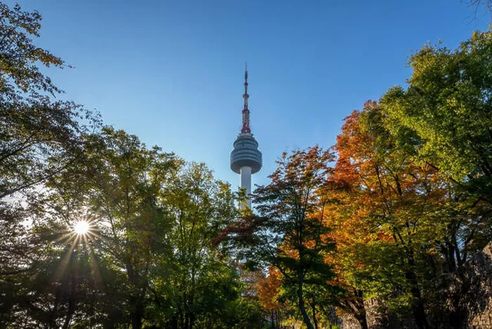 Framed Print : seoul tower and colorful leaves in seoul, korea Framed Print : seoul tower and colorful leaves in seoul, korea