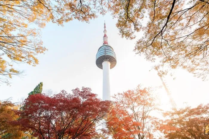 Framed Print : Seoul Tower with yellow and red autumn maple leaves at Namsan mountain in South Korea Framed Print : Seoul Tower with yellow and red autumn maple leaves at Namsan mountain in South Korea