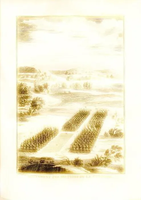 Framed Print : A serene landscape features neatly arranged rows of crops Framed Print : A serene landscape features neatly arranged rows of crops