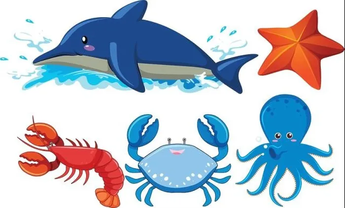 Framed Print : Set of aquatic animals illustration Framed Print : Set of aquatic animals illustration