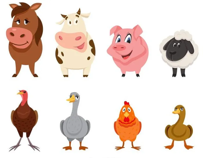 Framed Print : Set of farm animals front view. Female characters in cartoon style Framed Print : Set of farm animals front view. Female characters in cartoon style