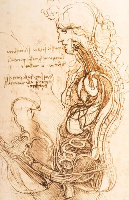 Framed Print : detail of The Sexual Act in Vertical Section by Leonardo da Vinci 1490 Framed Print : detail of The Sexual Act in Vertical Section by Leonardo da Vinci 1490