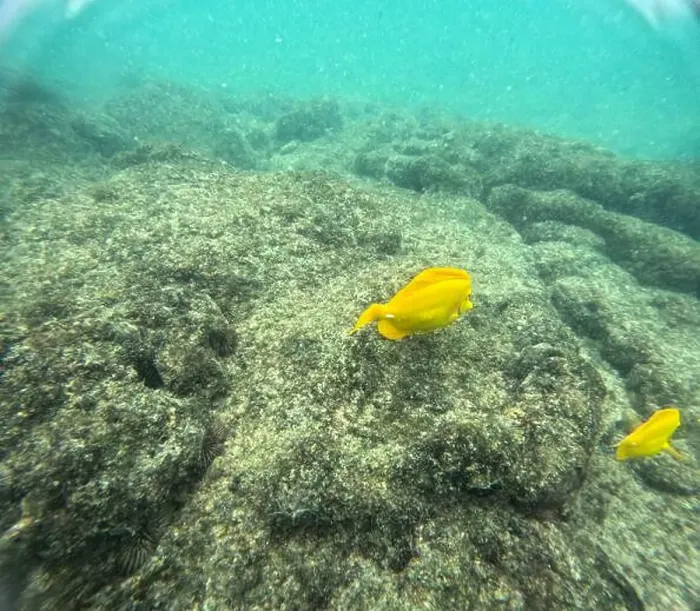 Framed Print : Shallow sea, big stones with fish Framed Print : Shallow sea, big stones with fish