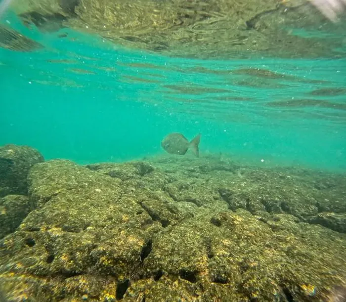 Framed Print : Shallow sea, big stones with fish Framed Print : Shallow sea, big stones with fish