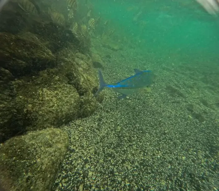 Framed Print : Shallow sea, big stones with fish Framed Print : Shallow sea, big stones with fish
