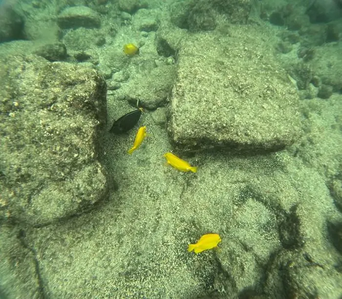 Framed Print : Shallow sea, big stones with fish Framed Print : Shallow sea, big stones with fish