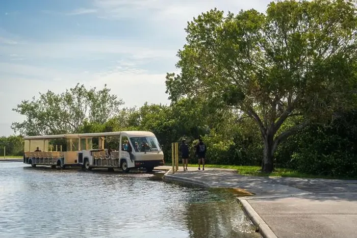Framed Print : The Shark Valley Tram Tour at Everglades National Park, Florida, United States Framed Print : The Shark Valley Tram Tour at Everglades National Park, Florida, United States
