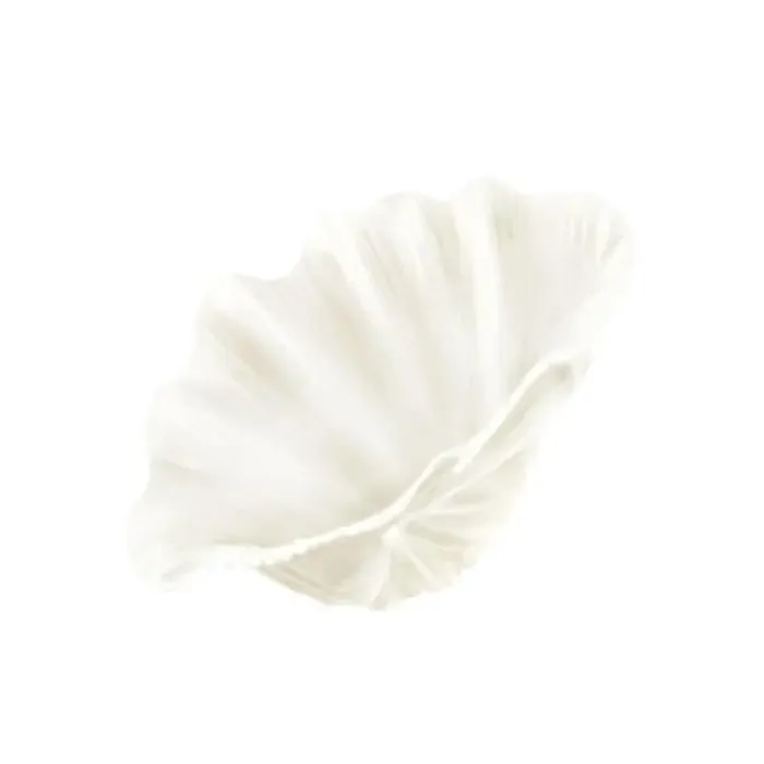 Framed Print : The shell of the hippopus clam Framed Print : The shell of the hippopus clam