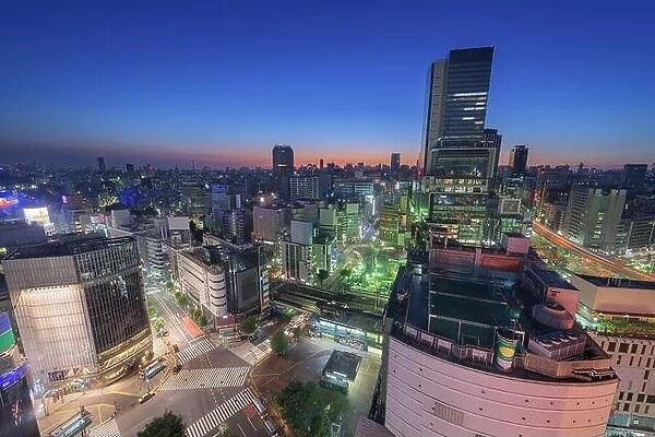 Shibuya, Tokyo, Japan cityscape overlooking the scramble crosswalk at twilight