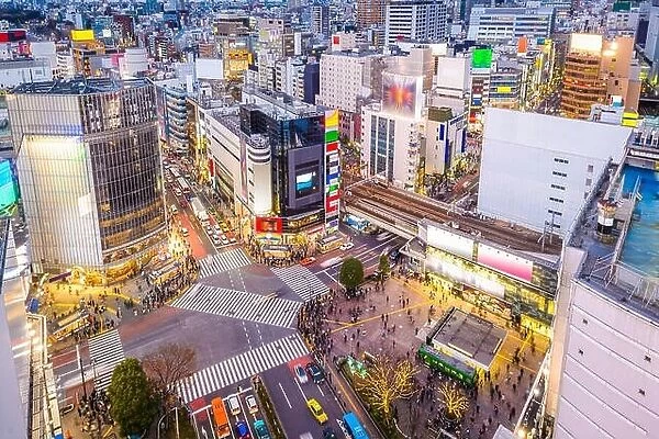 Shibuya, Tokyo, Japan cityscape over the scramble crosswalk