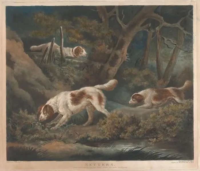Framed Print : Shooting: Setters, William Ward, 1766–1826, British, after George Morland, 1763–1804, British, 1806, Mezzotint, hand-colored, Sheet: 15 x 17 1 / 2in Framed Print : Shooting: Setters, William Ward, 1766–1826, British, after George Morland, 1763–1804, British, 1806, Mezzotint, hand-colored, Sheet: 15 x 17 1 / 2in