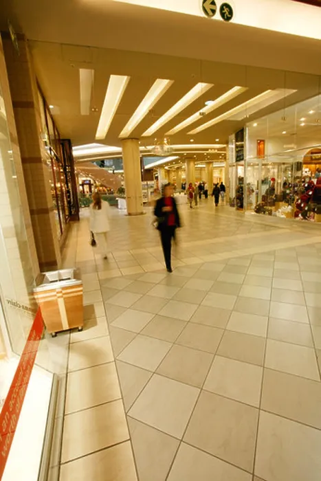 Framed Print : Shoppers bustle along wide shopping arcades in Sandton City Sandton Gauteng South Africa Framed Print : Shoppers bustle along wide shopping arcades in Sandton City Sandton Gauteng South Africa