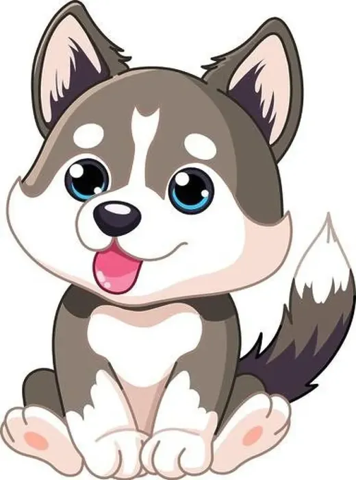 Framed Print : Siberian husky puppy dog with tongue out sitting Framed Print : Siberian husky puppy dog with tongue out sitting
