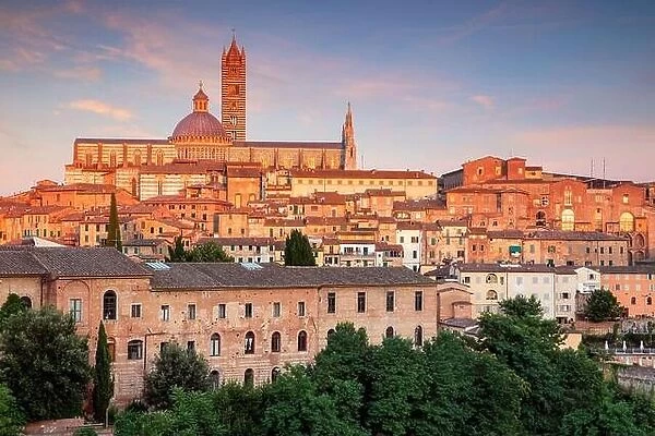 Siena. Aerial cityscape image of medieval city of Siena, Italy during sunset