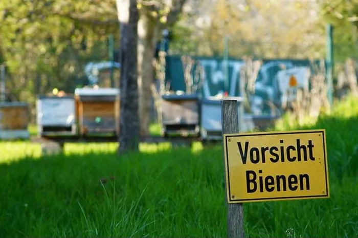 Framed Print : Sign Beware of the bees in front of some beehives Framed Print : Sign Beware of the bees in front of some beehives