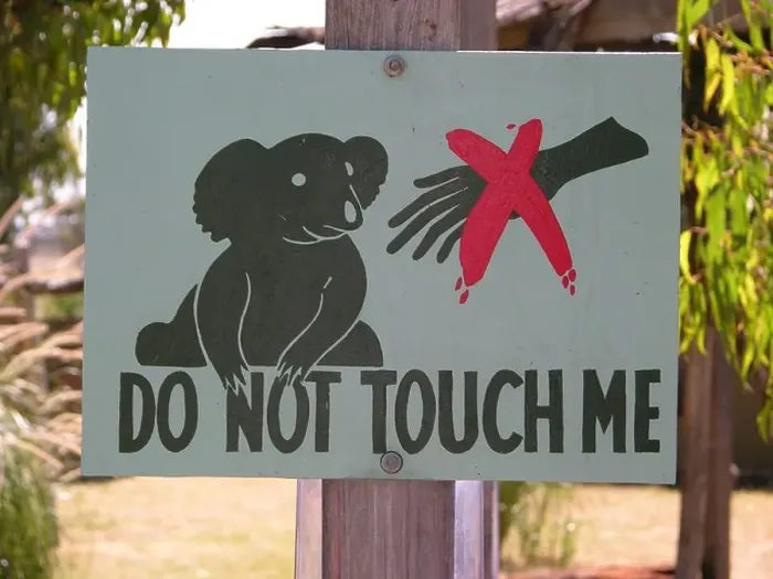 Framed Print : Sign Do not touch me showing a Koala bear in Victoria, Australia Framed Print : Sign Do not touch me showing a Koala bear in Victoria, Australia