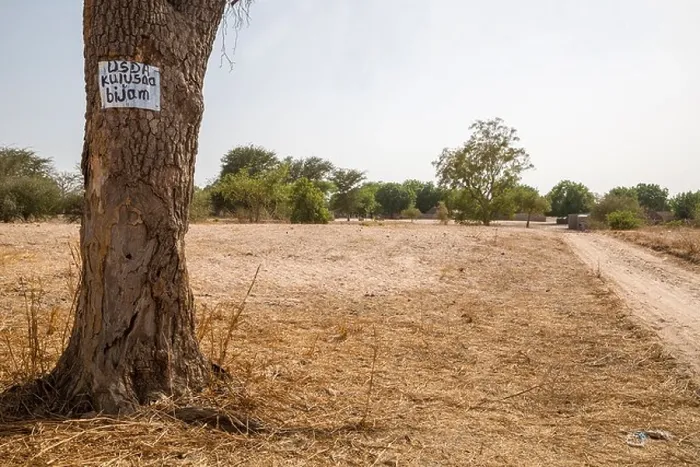 Framed Print : Sign on Tree Indicates that the Village, Bijam, near Kaolack, Senegal, is participating in a Millet Development Program Framed Print : Sign on Tree Indicates that the Village, Bijam, near Kaolack, Senegal, is participating in a Millet Development Program