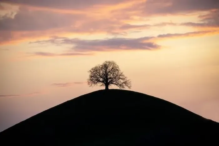 Framed Print : A silhouette of a tree on a hill, under a purple sky Framed Print : A silhouette of a tree on a hill, under a purple sky