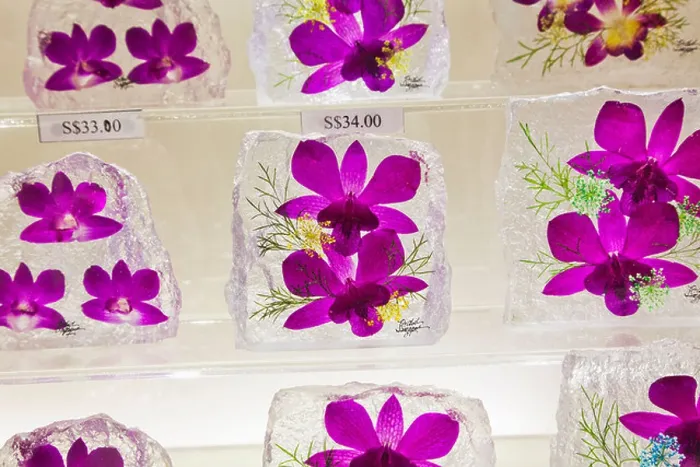 Framed Print : Singapore, Botanical Gardens, Orchid Garden Souvenir Shop, Souvenir Glass Encased Orchids Framed Print : Singapore, Botanical Gardens, Orchid Garden Souvenir Shop, Souvenir Glass Encased Orchids