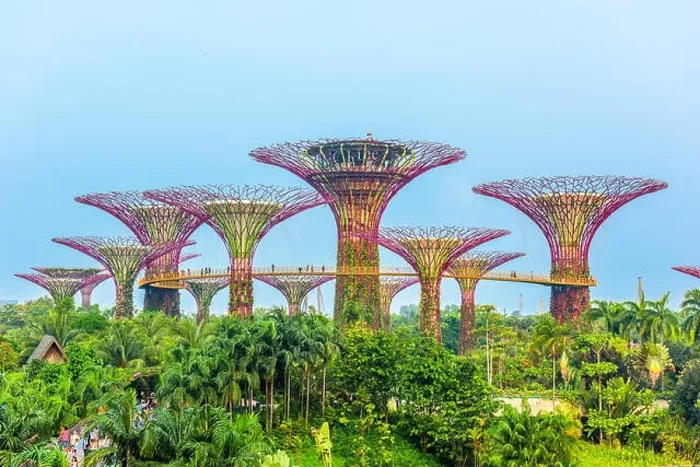 Framed Print : SINGAPORE - SEPTEMBER 5, 2015: Supertrees at Gardens by the Bay Framed Print : SINGAPORE - SEPTEMBER 5, 2015: Supertrees at Gardens by the Bay