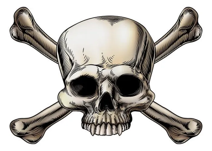 Framed Print : Skull and crossbones drawing with skull in the center of the crossed bones Framed Print : Skull and crossbones drawing with skull in the center of the crossed bones