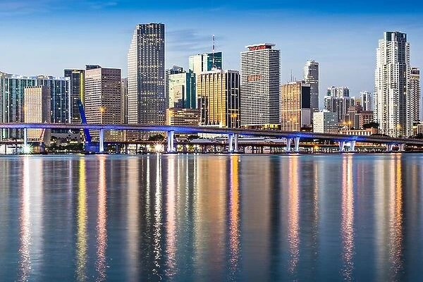 Skyline of Miami, Florida, USA