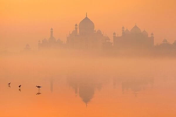 Skyline of Taj Mahal, Agra, Uttar Pradesh, India
