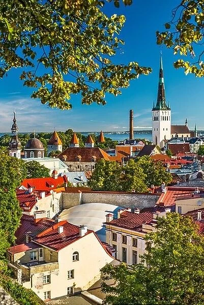 Skyline of Tallinn, Estonia at the old city