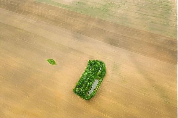 Small Green Natural Island With Green Grass, Forest And Small Pond In Spring Empty Rural Field Landscape. Agricultural Field. Aerial View