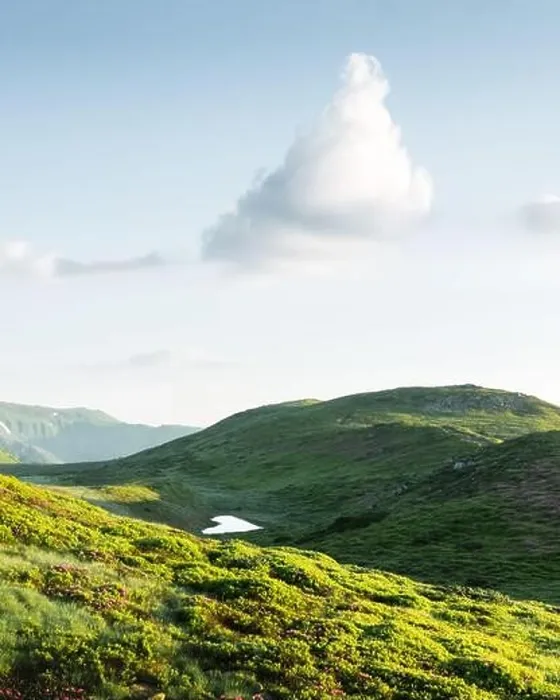 Framed Print : Small heart-shaped mountain lake on green slopes covered with pink blooming rhododendron flowers. Fluffy cloud in the blue sky Framed Print : Small heart-shaped mountain lake on green slopes covered with pink blooming rhododendron flowers. Fluffy cloud in the blue sky