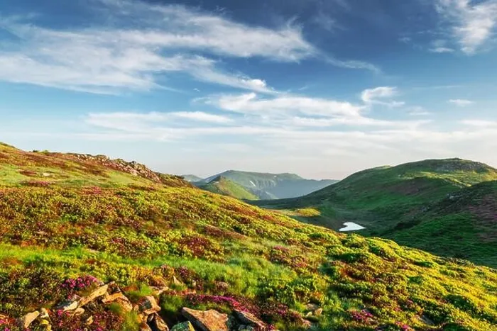 Framed Print : Small heart-shaped mountain lake on green slopes covered with pink blooming rhododendron flowers. Fluffy cloud in the blue sky Framed Print : Small heart-shaped mountain lake on green slopes covered with pink blooming rhododendron flowers. Fluffy cloud in the blue sky