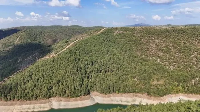 Framed Print : A small hill covered by pine tree forest in nature. Drone view Framed Print : A small hill covered by pine tree forest in nature. Drone view