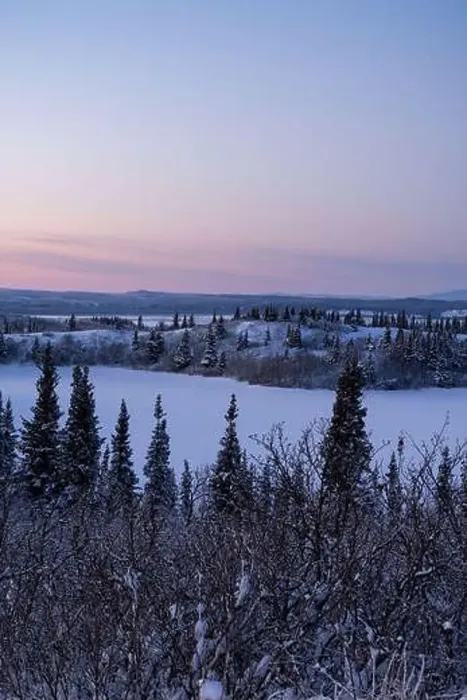 Framed Print : Small icy lake surrounded by snowy trees under pink sky on a winter evening near Delta Junction, Alaska Framed Print : Small icy lake surrounded by snowy trees under pink sky on a winter evening near Delta Junction, Alaska