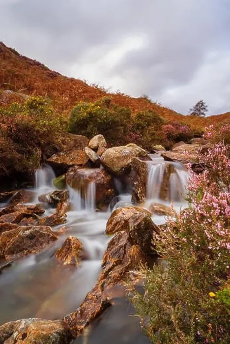 Framed Print : A small mountain stream in Cwm Bychan near Beddgelert in the Snowdonia National Park in North Wales Framed Print : A small mountain stream in Cwm Bychan near Beddgelert in the Snowdonia National Park in North Wales