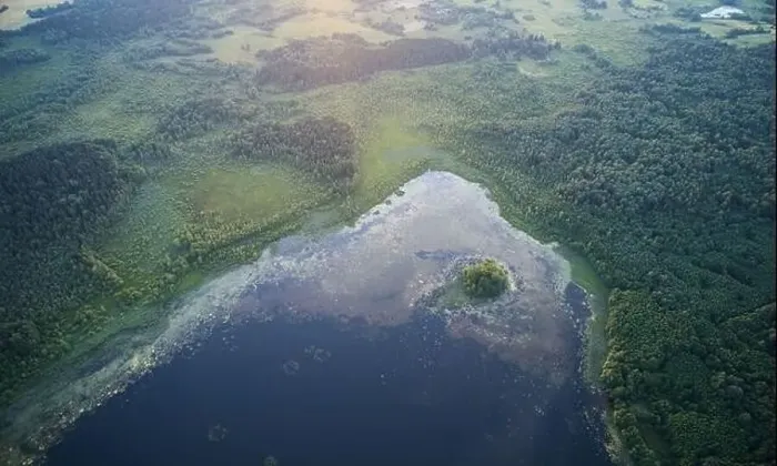 Framed Print : Small pond aerial drone view with island in sunset light Framed Print : Small pond aerial drone view with island in sunset light