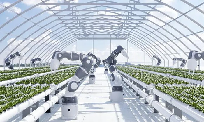 Framed Print : Smart farm with robot hands growing and harvesting vegetables in greenhouse with sky background Framed Print : Smart farm with robot hands growing and harvesting vegetables in greenhouse with sky background