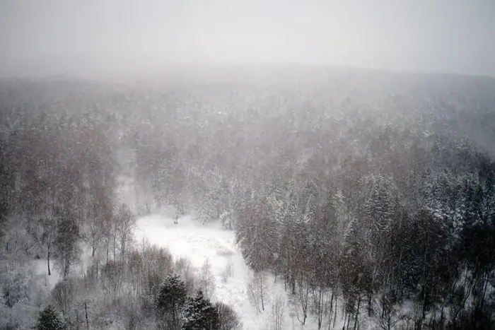 Framed Print : Snow blizzard over the winter forest, top view Framed Print : Snow blizzard over the winter forest, top view