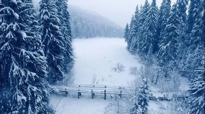 Framed Print : Snow-covered mountain coniferous forest around the ice-covered and snow-covered Lake Synevyr Framed Print : Snow-covered mountain coniferous forest around the ice-covered and snow-covered Lake Synevyr