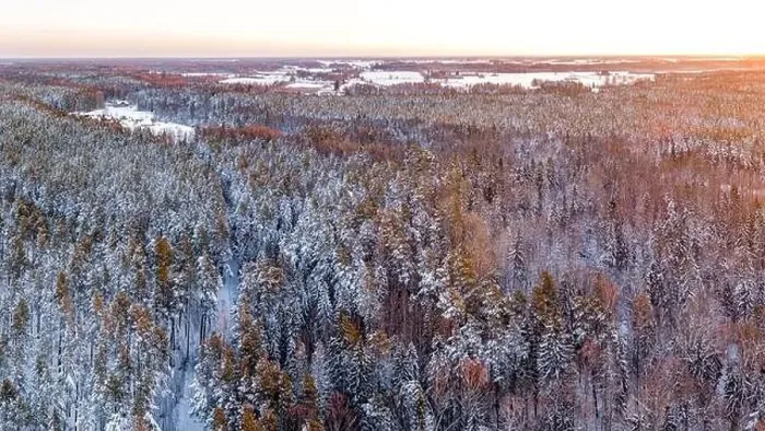 Framed Print : Snow covered winter forest view from drone during sunrise Framed Print : Snow covered winter forest view from drone during sunrise
