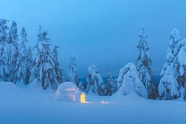 Snow igloo luminous from the inside in the winter Carpathian mountains. Snow-covered firs in the evening light in the background